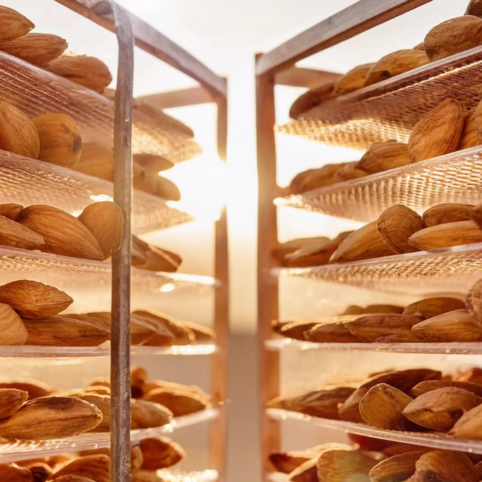 almonds in a dehydrator