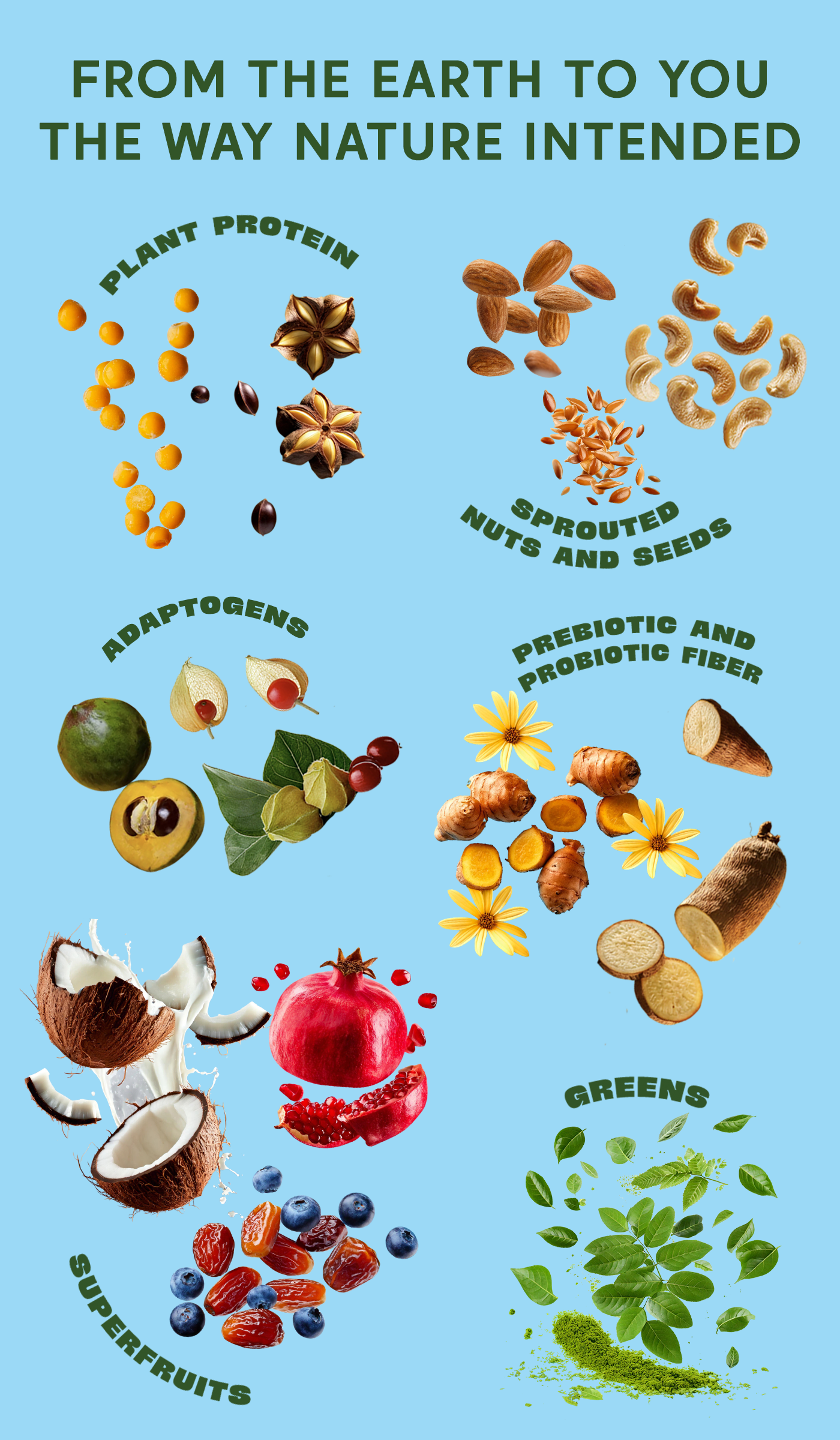 Natural ingredients like nuts, seeds, fruits, and greens with the text: 'From the Earth to You – The Way Nature Intended.