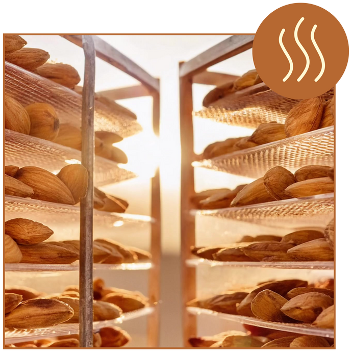Image showing almonds spread on multiple mesh trays, Inside a dehydrator. A circular icon with three wavy lines indicating heat or dehydration is overlaid in the upper right corner.
