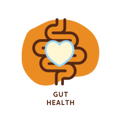 Icon depicting a stylized digestive system in brown lines with a white heart at the center, symbolizing well-being. The background is an orange abstract shape. Below the image, the words “GUT HEALTH” are written in bold, brown text.
