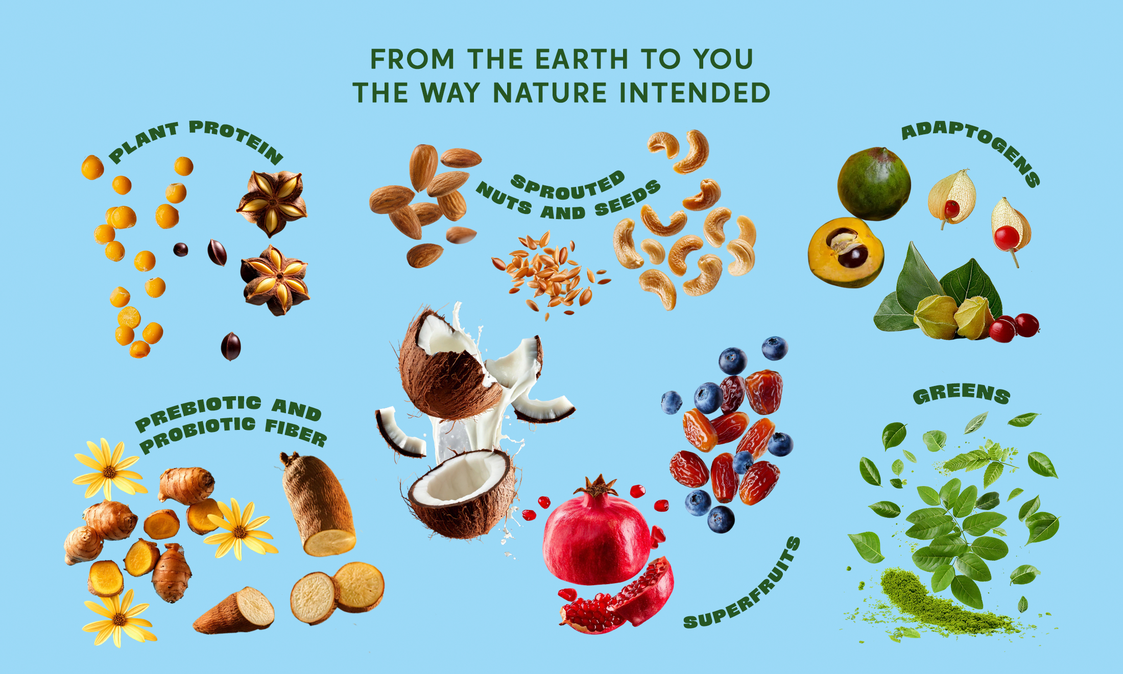 Natural ingredients like nuts, seeds, fruits, and greens with the text: 'From the Earth to You – The Way Nature Intended.