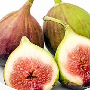 Figs on a white plate with a white background