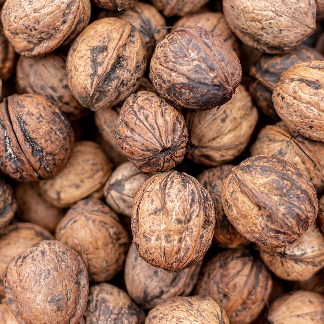 walnuts