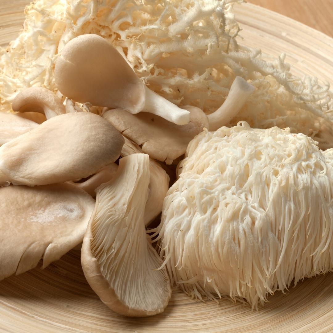 Close up of a variety of mushrooms