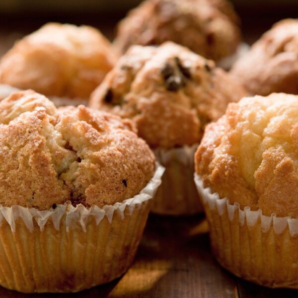 unflavored protein powder muffins